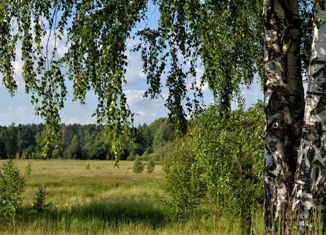 Продаю земельный участок, 100 сот., деревня Пашнино 2-е