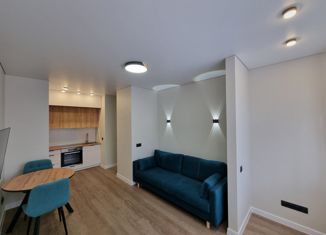 Продается 1-комнатная квартира, 40 м2, деревня Патрушева, улица Александра Пушкина, 1к1