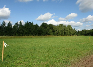 Продам земельный участок, 20 сот., село Силино, Нагорная улица