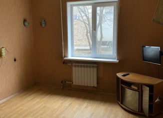 Продается 1-комнатная квартира, 28 м2, Партизанск, улица Кутузова, 48