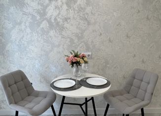 Продаю квартиру студию, 21 м2, село Чигири, улица Василенко, 7