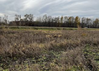 Продажа земельного участка, 8 сот., село Ишеево, улица Тугай, 19