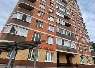 Продаю однокомнатную квартиру, 42.7 м2, Балашиха, Чистопольская улица, 32