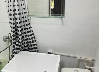 1-ком. квартира в аренду, 30 м2, Кингисепп, посёлок Касколовка, 2