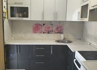 Продается однокомнатная квартира, 27.7 м2, Курган, Омская улица, 26, жилой район Северный