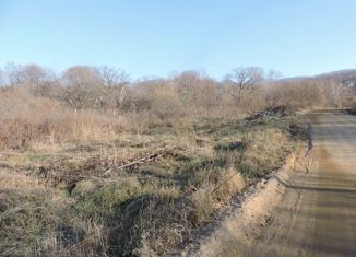 Дом на продажу, 108 м2, село Владимиро-Александровское, Приморская улица