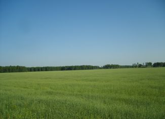 Продам земельный участок, 15 сот., поселок Листвянка, Школьная улица