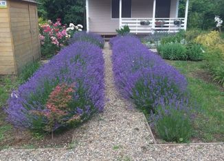 Продажа дома, 35 м2, садовое некоммерческое товарищество Факел, Белозёрная улица