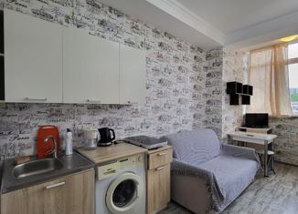 Сдача в аренду 1-комнатной квартиры, 18.5 м2, село Раздольное, Тепличная улица, 38