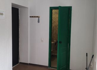 Продажа квартиры студии, 24 м2, Кыштым, улица Ленина, 59Б