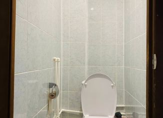 Продажа двухкомнатной квартиры, 49.2 м2, поселок городского типа Приютово, улица Карла Маркса, 7А