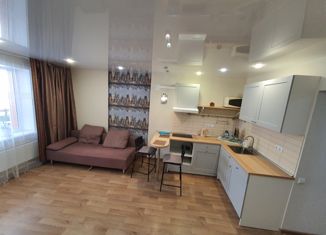 Сдается квартира студия, 40 м2, Новосибирск, Вилюйская улица, 3, ЖК Ваш выбор