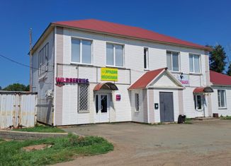 Продается дом, 254.6 м2, село Ташла, Пионерская улица, 58А