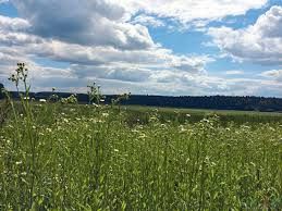 Продам земельный участок, 12 сот., Республика Башкортостан