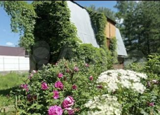 Продаю дом, 48 м2, деревня Болтино, Полевая улица, 22