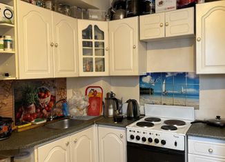 Продается 2-комнатная квартира, 49.7 м2, Санкт-Петербург, проспект Пятилеток, 16к3, проспект Пятилеток