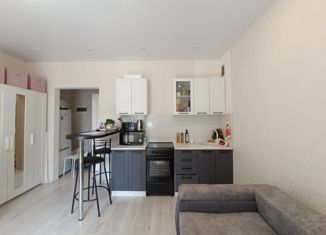 Квартира на продажу студия, 25 м2, рабочий посёлок Кольцово, Никольский проспект, 12