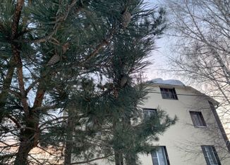 Дом на продажу, 324.1 м2, посёлок Новостройка, Берёзовая улица, 19