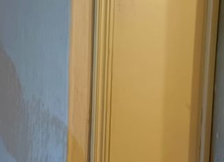 3-ком. квартира на продажу, 56.5 м2, посёлок Шушары, Школьная улица, 6