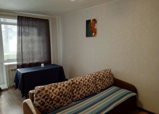 Продажа однокомнатной квартиры, 29 м2, Биробиджан, Московская улица, 5, микрорайон Сопка