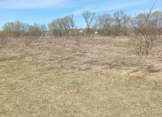 Продаю земельный участок, 60 сот., село Ижеславль