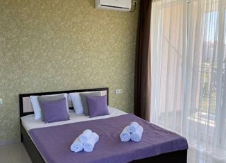 Сдача в аренду 1-ком. квартиры, 32 м2, Севастополь, улица Пляж Омега, 8