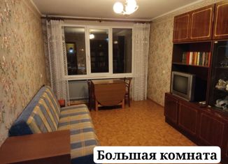 Аренда 2-комнатной квартиры, 41 м2, Санкт-Петербург, Меншиковский проспект, 19, муниципальный округ Пискарёвка