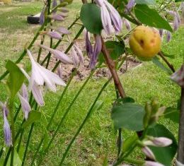 Продажа дома, 44 м2, село Кетово, улица Космонавтов