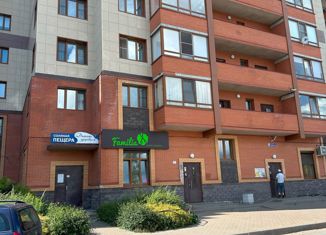 Продаю 2-комнатную квартиру, 64.11 м2, Тосно, проспект Ленина, 3