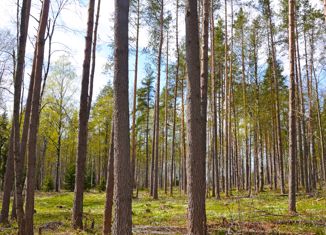 Продажа участка, 20.3 сот., коттеджный посёлок Майнило, улица Майнило