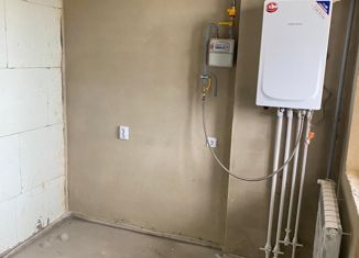 Продам однокомнатную квартиру, 30 м2, деревня Крутые Выселки, улица Герасимова, 2, ЖК Изумрудный Город