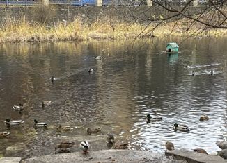 Продаю 1-комнатную квартиру, 39.8 м2, Москва, улица Вешних Вод, 2к6, улица Вешних Вод