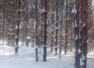 Продам земельный участок, 20 сот., село Степаново, Нагорная улица