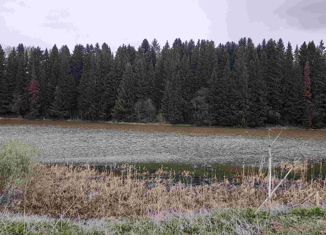 Продаю участок, 11.12 сот., деревня Касимово