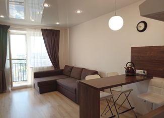 Продажа квартиры студии, 29 м2, Санкт-Петербург, улица Александра Матросова, 20к2, улица Александра Матросова