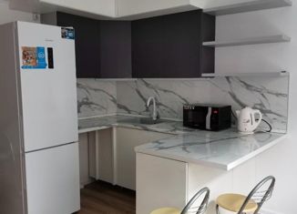 Продам квартиру студию, 27.6 м2, поселение Десёновское, 3-я Нововатутинская улица, 4