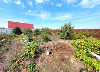 Продаю земельный участок, 14 сот., деревня Зелёное Поле, Авангардная улица