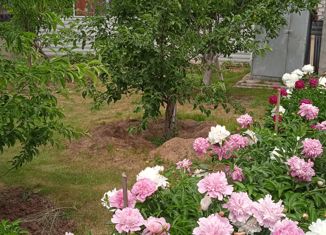 Продам дом, 26 м2, СНТ Строитель-2, Рябиновая улица, 46