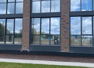 Продаю квартиру студию, 25.42 м2, Новосибирск, улица Даргомыжского, с8В, улица Даргомыжского