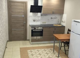 Продаю квартиру студию, 25.6 м2, Санкт-Петербург, Заречная улица, 11к2, метро Парнас