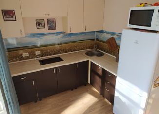 Продается 1-комнатная квартира, 33.8 м2, Санкт-Петербург, улица Адмирала Черокова, 20, ЖК Море