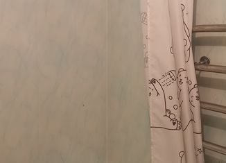 Двухкомнатная квартира на продажу, 53 м2, Красноярск, улица Молокова, 1А, Советский район