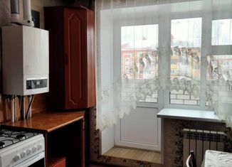 Сдам в аренду 1-комнатную квартиру, 33 м2, Бор, улица Красногорка, 22к2