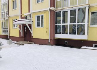 Продажа однокомнатной квартиры, 29.5 м2, Кохма, улица Ивана Швецова, 3