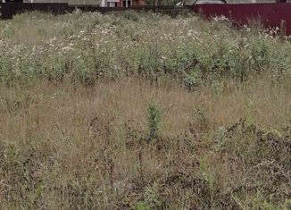 Продаю земельный участок, 1600 сот., деревня Конец Бор, Конец-Борская улица, 20А