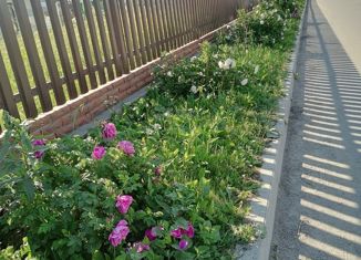 Продаю земельный участок, 1144 сот., садоводческое некоммерческое товарищество Заозерное, Центральная улица