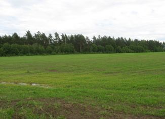 Продажа земельного участка, 600 сот., деревня Потопчино, 78Н-0855