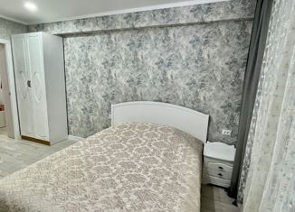 Сдача в аренду 1-ком. квартиры, 25 м2, Пятигорск, улица Восстания, 91