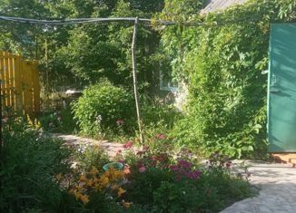 Продам дом, 30 м2, СНТ Силикатчик, СНТ Силикатчик, 59