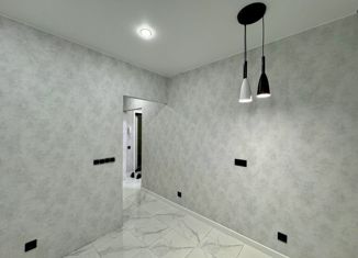 Продаю 1-ком. квартиру, 30 м2, Великий Новгород, Большая Московская улица, 134к2, ЖК Ивушки